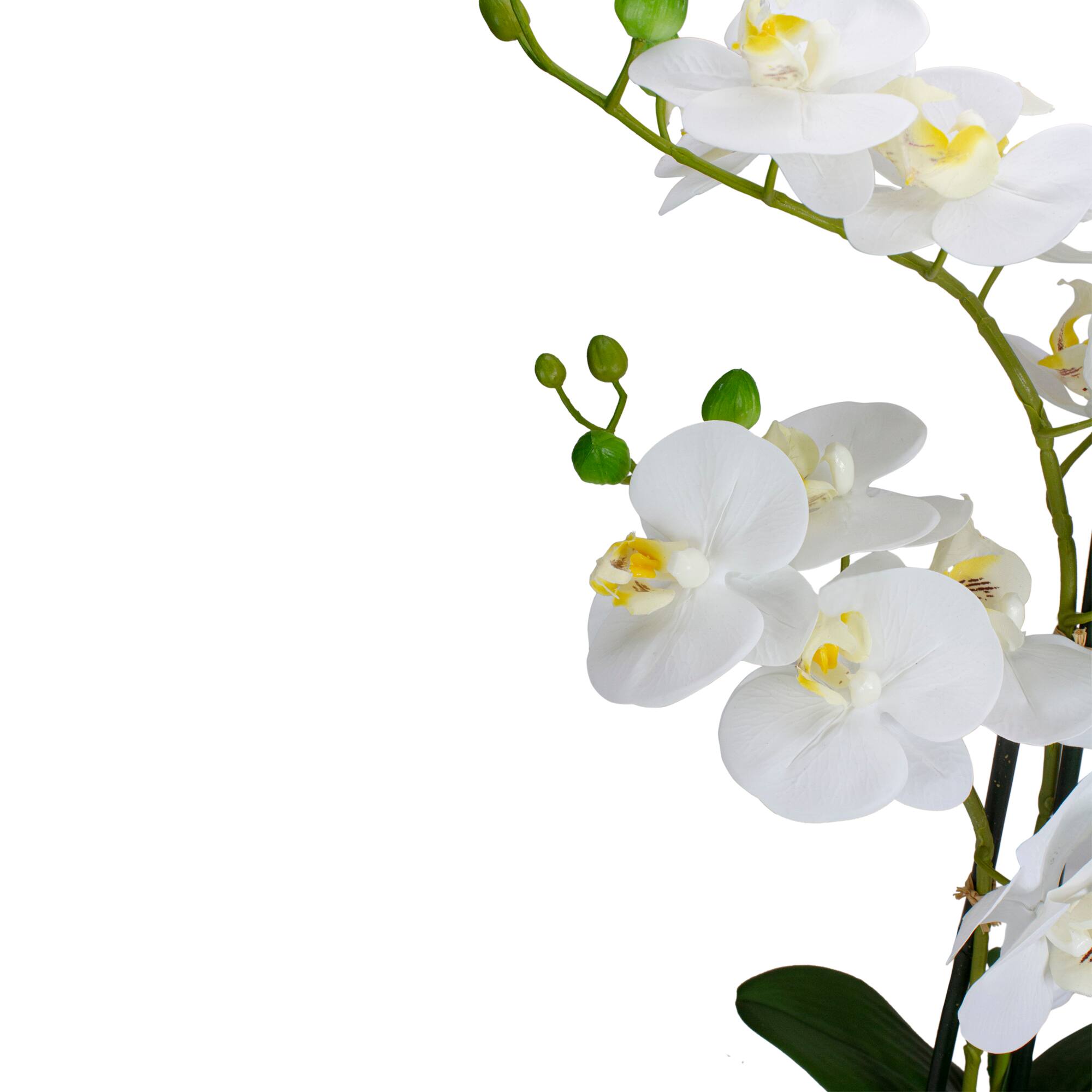 22" White Orchid Plant in White Oval Pot